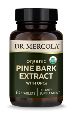Organic Pine Bark Extract 60 Tablets - Dr. Mercola