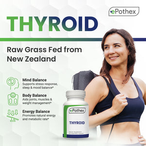 Raw Desiccated Bovine Thyroid - ePothex